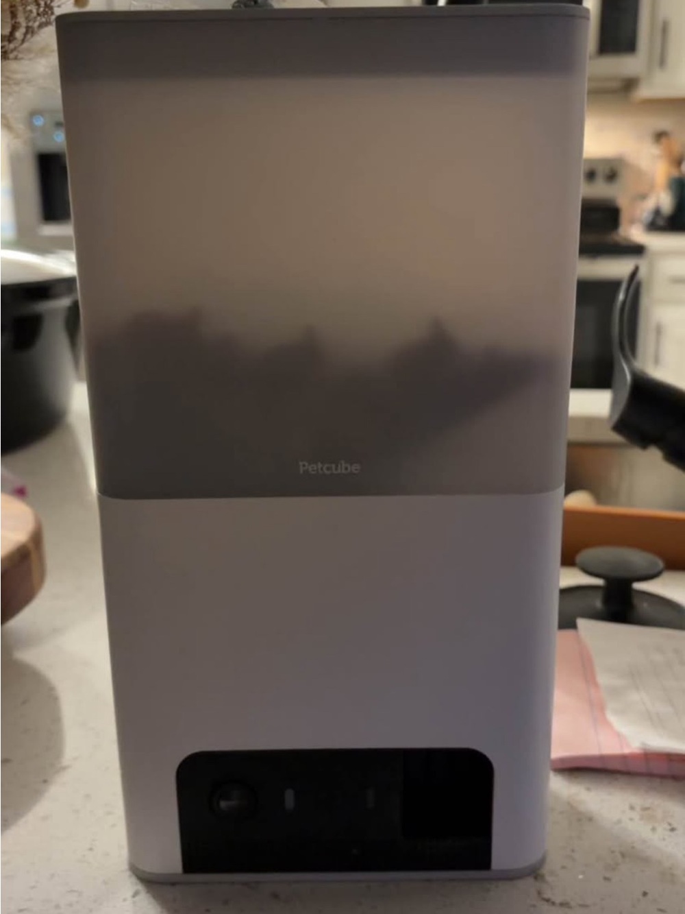Petcube Automatic Pet Treat Feeder in Light Gray